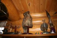 Cabin Shelf