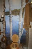 Inside bathroom, painted background, looks like an outside toile