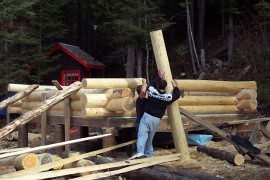 Josh and Josh getting a log